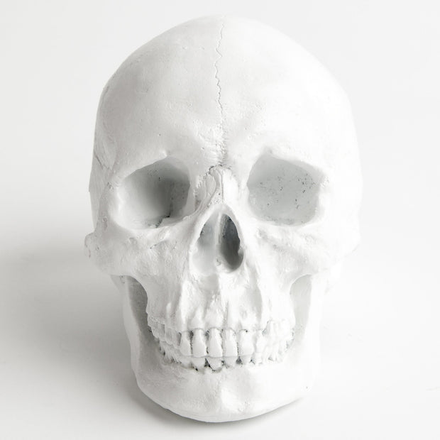 The Fitz in White | Trendy Victorian Gothic Human Skull Art