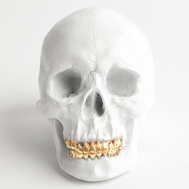 The Fitz in White with Gold Teeth | Trendy Victorian Gothic Human Skull Art