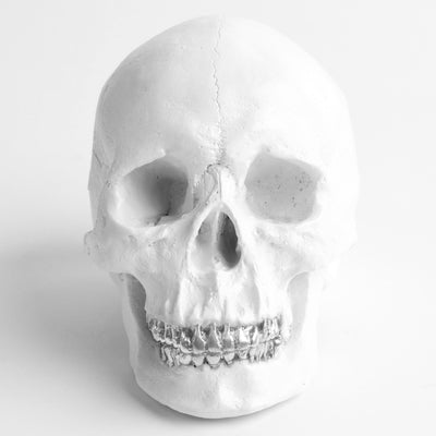 The Fitz in White with Silver Teeth | Trendy Victorian Gothic Human Skull Art