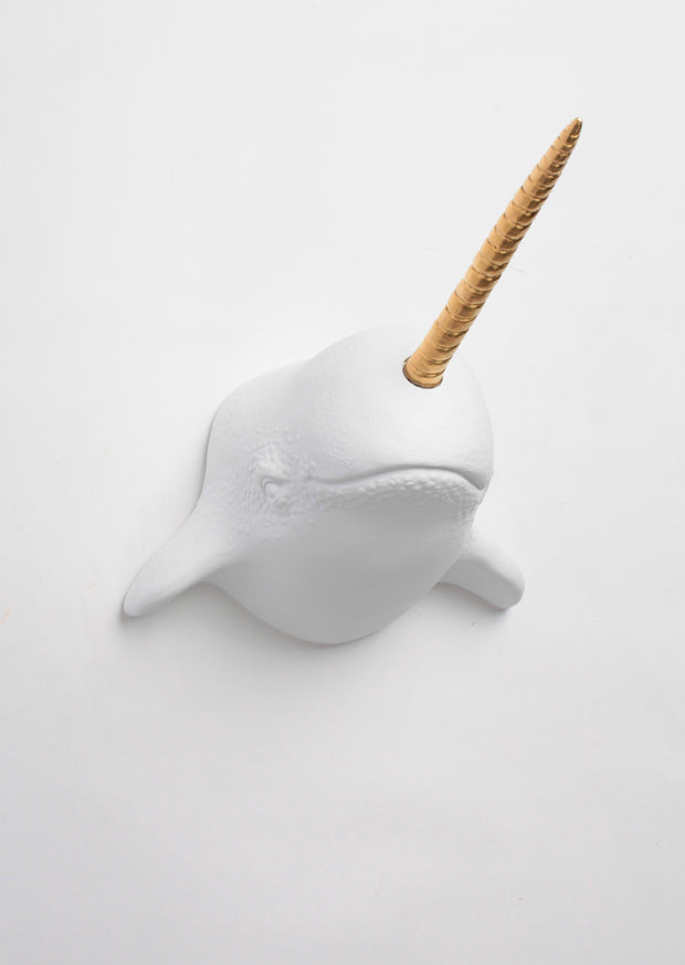 White narwhal head with gold horn