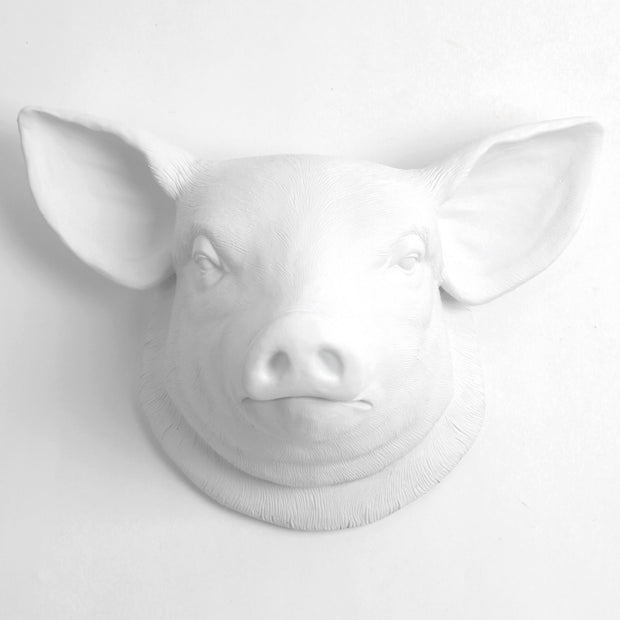 white resin pig head kitchen decor, farmhouse style wall art