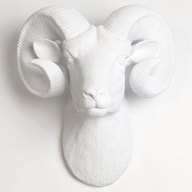 The Darby in White  - XL Ram Head | Bighorn Sheep Modern Farmhouse Decor