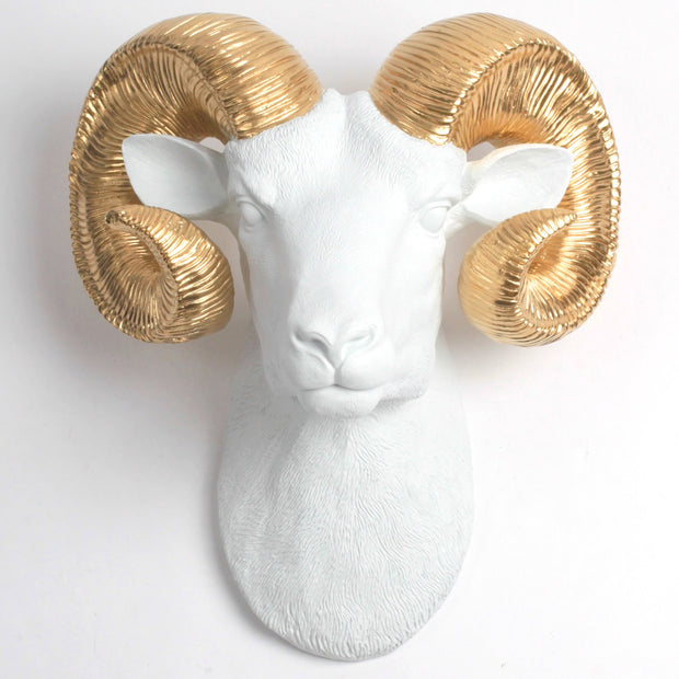The Darby in White & Gold - XL Ram Head | Bighorn Sheep Modern Farmhouse Decor