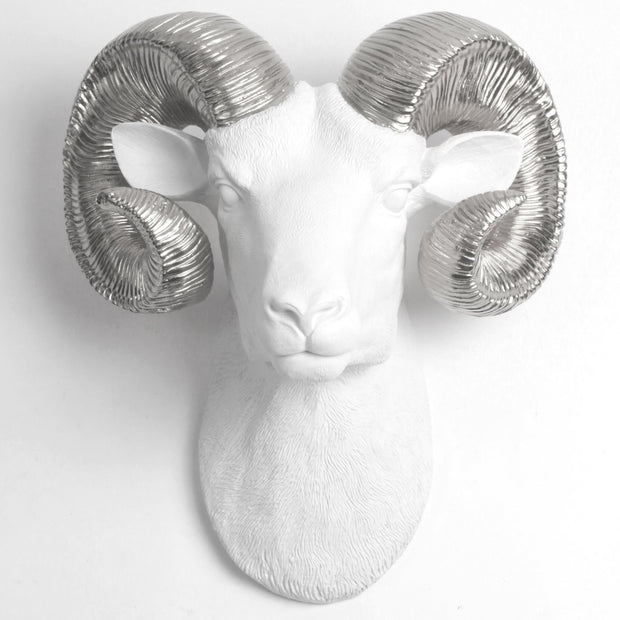 The Darby in White & Silver - XL Ram Head | Bighorn Sheep Modern Farmhouse Decor