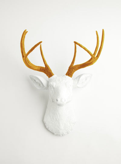 Mustard-Yellow antlers & white deer, The Blanche. mustard-yellow resin deer antlers, white faux deer head wall sculpture