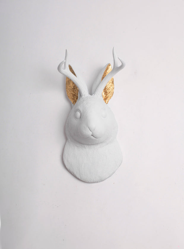The Corduroy in White w/Gold Ears - Wall Art - Resin Jackrabbit Head- Jackalope Mount -Faux Animal Bunny & Easter Decor