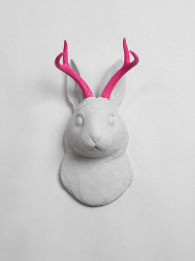 Back in Stock! White Faux Taxidermy - The Corduroy in White w/Pink Antlers - Jackrabbit Head- Jackalope Mount -Animal Friendly Decor