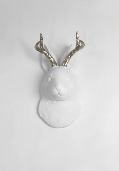 Back in Stock! White Faux Taxidermy - The Corduroy in White w/Silver Glitter Antlers - Jackrabbit Head- Jackalope Bunny -Animal Friendly Wall Mount Decor