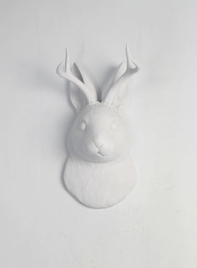 Back in Stock! The Corduroy in White  | Jackalope Head | Faux Taxidermy | White Resin