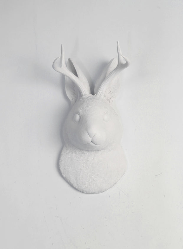 Back in Stock! The Corduroy in White  | Jackalope Head | Faux Taxidermy | White Resin