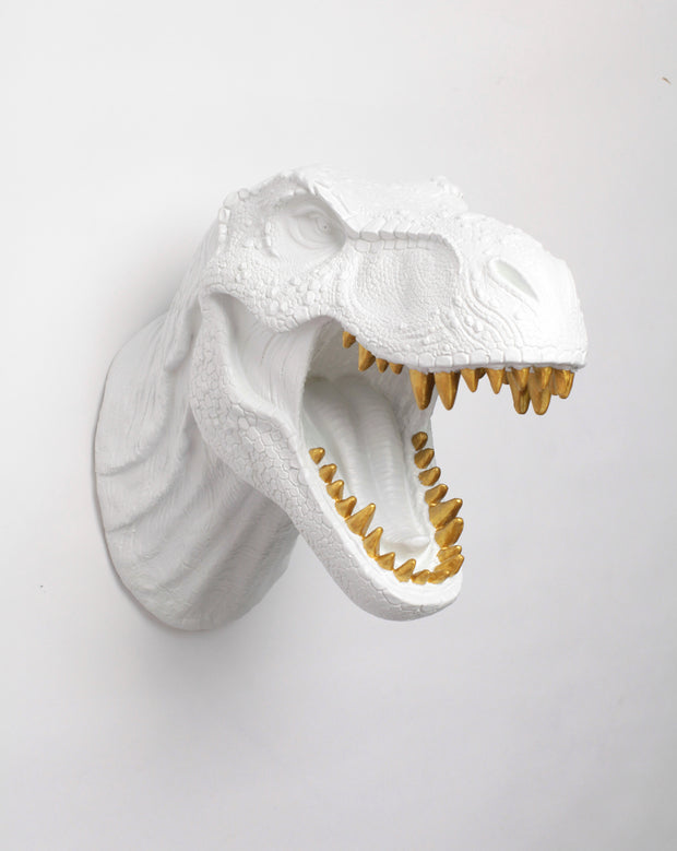 White Dinosaur Head Wall Mount with Gold Teeth