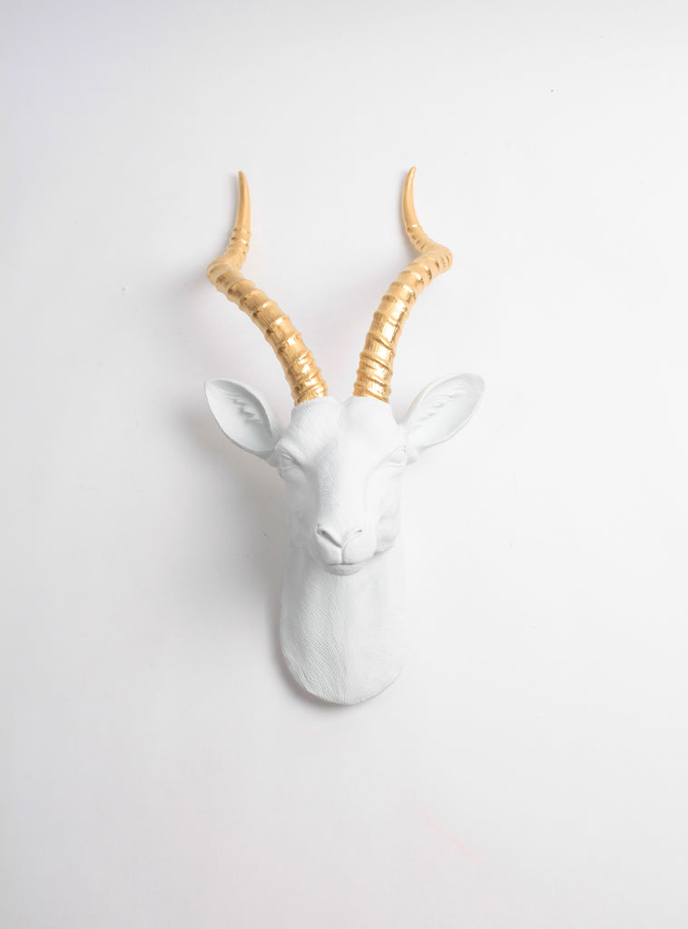 The Franny in White + Gold, XL Antelope Head Wall Mount