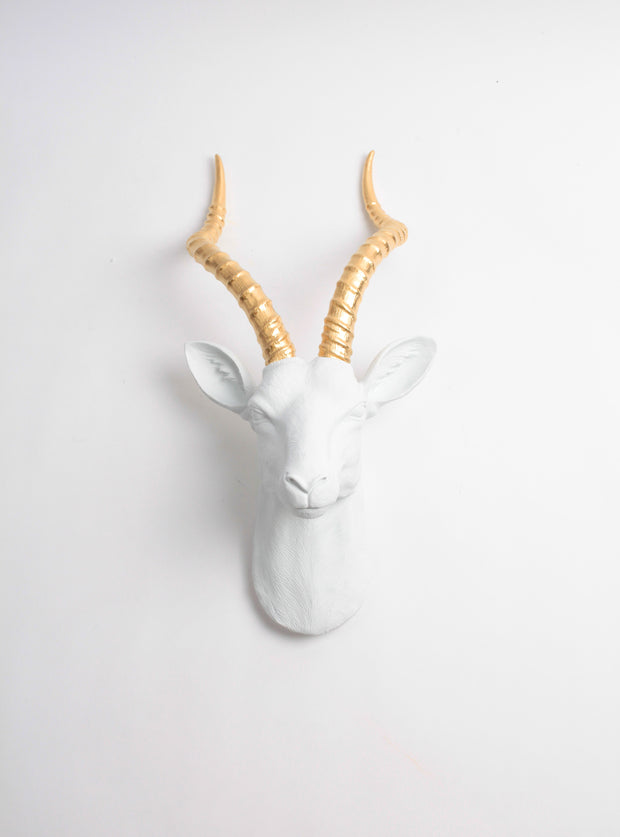 The Franny in White + Gold | XL Antelope Head Wall Mount | Gazelle Faux Taxidermy