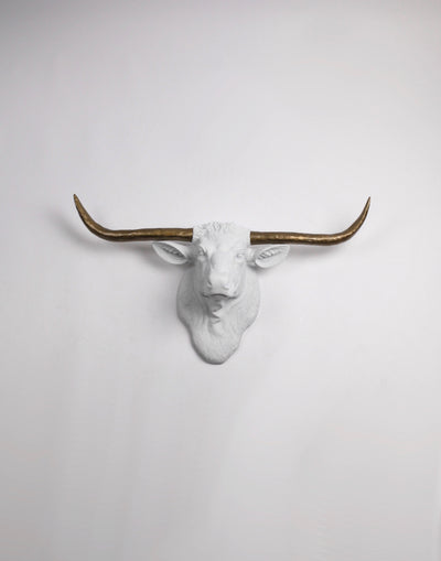 White Longhorn Head Wall Mount with Bronze Horns