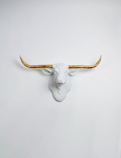 White Longhorn Head with gold horns Wall Mount