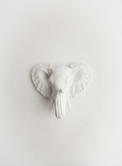 Mini Elephant Head Wall Mount, White