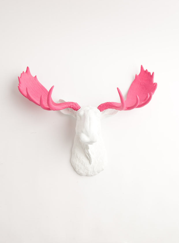 White Moose Head & Pink Antlers Wall Decor, The York