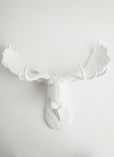 Fake Taxidermy Moose Head Wall Sculpture