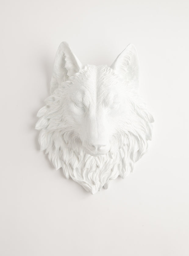 Large white faux wolf head wall mount