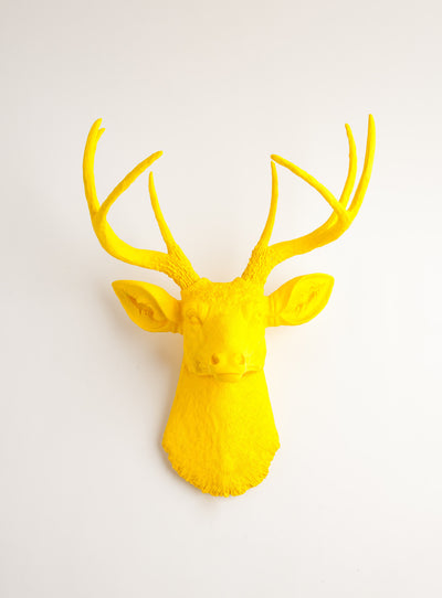 yellow deer head wall decor. yellow faux stag head wall mount by White Faux Taxidermy