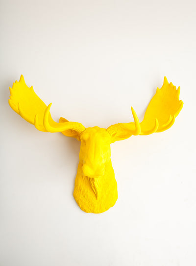 Yellow Moose head Wall Sculpture